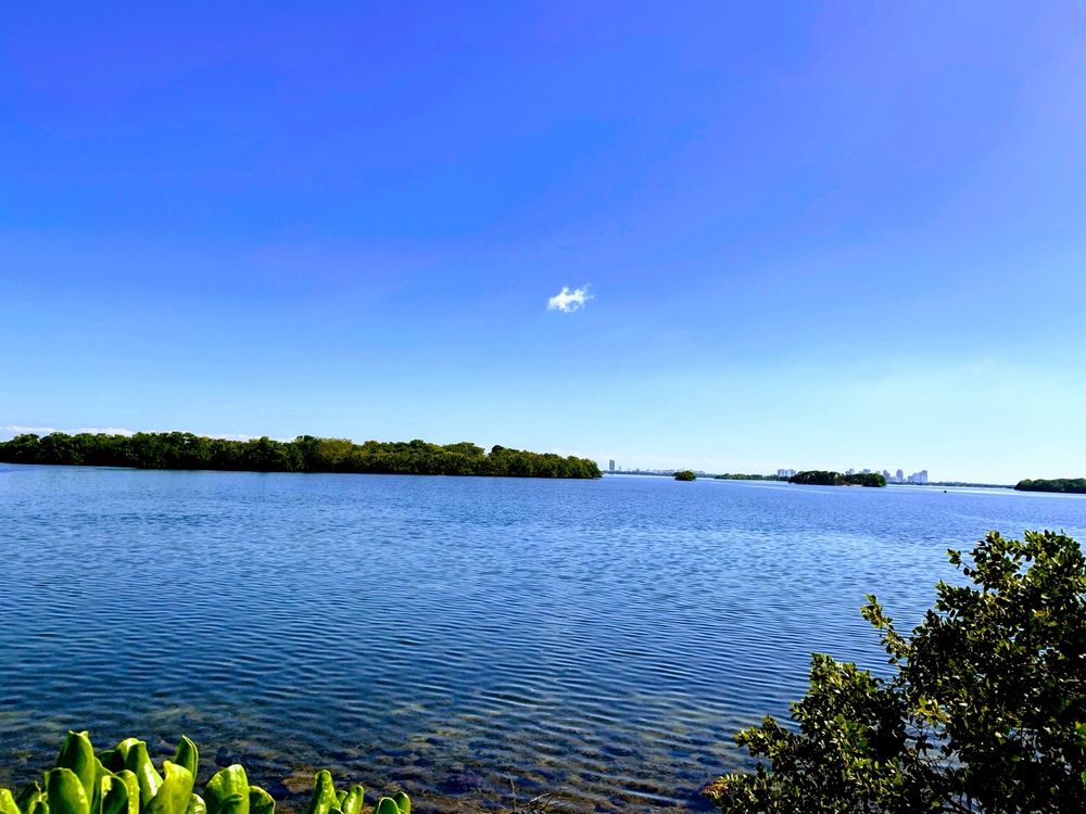 LEGION PARK 72 Photos & 25 Reviews 6447 NE 7th Ave, Miami, Florida