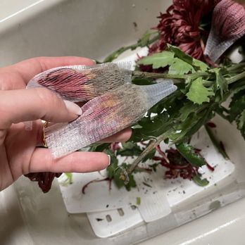 Botanika - Numerous flowers were rotten - Florists Near Me - San Antonio, Texas Botanika - Numerous flowers were rotten - Florists Near Me - San Antonio, Texas