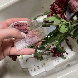 Numerous flowers were rotten