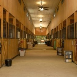 Crowterre Equestrian - Warm atmosphere.