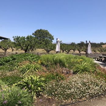 Buttonwood Farm Winery & Vineyard - Wineries Near Me - Solvang, California Buttonwood Farm Winery & Vineyard - Wineries Near Me - Solvang, California