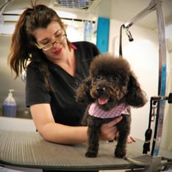 pete's mobile grooming