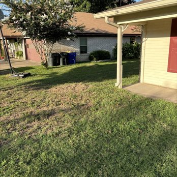 Fitzgerald's - After the two trees are gone. - Landscaping Near Me - Woodway, Texas