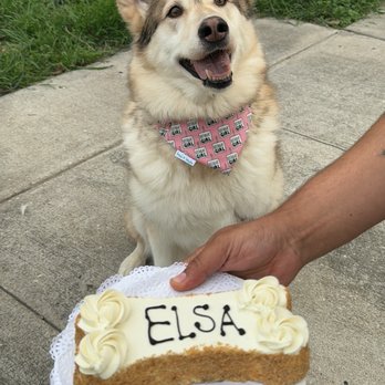 Three Dog Bakery - Rice Village - Pet Stores Near Me - Houston, Texas Three Dog Bakery - Rice Village - Pet Stores Near Me - Houston, Texas