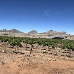 Flying Kite Vineyard