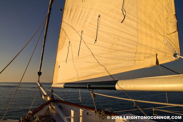 Schooner Spirit of Independence by null