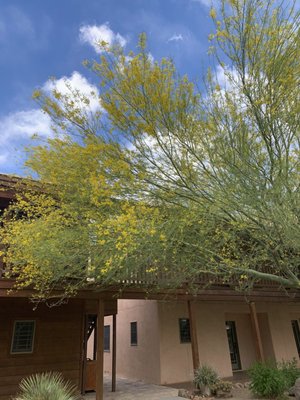 Lajitas Golf Resort by null