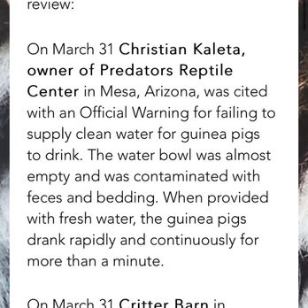 Predator's Reptile Center - Legal citation and warning for animal neglect. - Pet Stores Near Me - Mesa, Arizona Predator's Reptile Center - Legal citation and warning for animal neglect. - Pet Stores Near Me - Mesa, Arizona