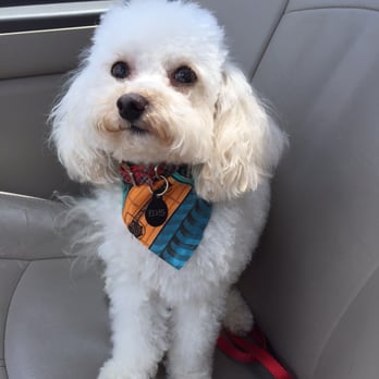 Furry Friends - Perfect - Pet Services Near Me - Hopkinsville, Kentucky Furry Friends - Perfect - Pet Services Near Me - Hopkinsville, Kentucky