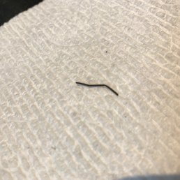 Small metal wire found in beef chow mien