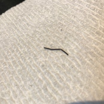 QQ Asian Bistro - Small metal wire found in beef chow mien - Sushi Bars Near Me - New Windsor, New York