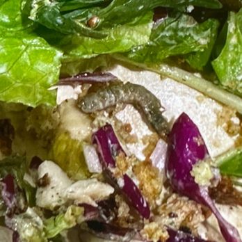 sweetgreen - Healthy Salads, Wraps, and Bowls - Salad Near Me - New York, New York sweetgreen - Healthy Salads, Wraps, and Bowls - Salad Near Me - New York, New York