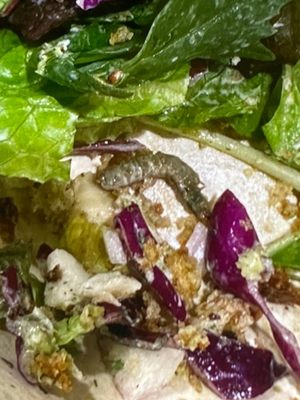 sweetgreen - Healthy Salads, Bowls and Plates by null