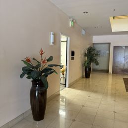 Morpho Enterance Morpho Enterance