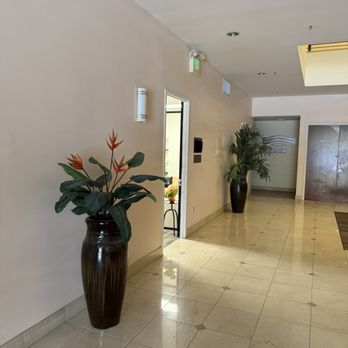 Morpho Medical Aesthetics - Morpho Enterance - Medical Spas Near Me - Pleasanton, California Morpho Medical Aesthetics - Morpho Enterance - Medical Spas Near Me - Pleasanton, California