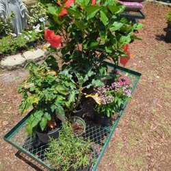 South Seminole Farm & Nursery