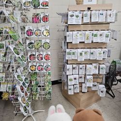 Koolau Farmers - Seeds...