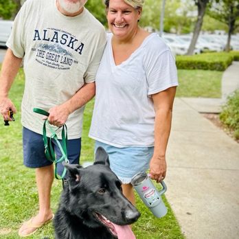 LimitLess Dog Training Temecula - Us - Pet Training Near Me LimitLess Dog Training Temecula - Us - Pet Training Near Me