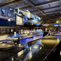 Uncle Buck's Fish Bowl & Grill - Taxidermy yellow fin