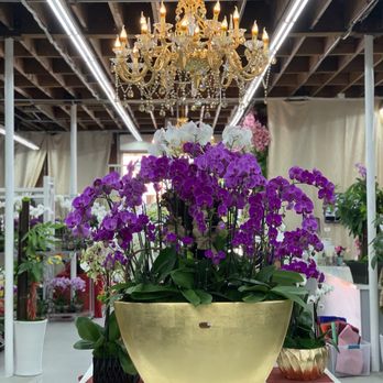 Orkizz - Wow ! - Florists Near Me - Los Angeles, California Orkizz - Wow ! - Florists Near Me - Los Angeles, California