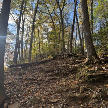 Sleeping Giant State Park - Trail - Parks Near Me - Hamden, Connecticut