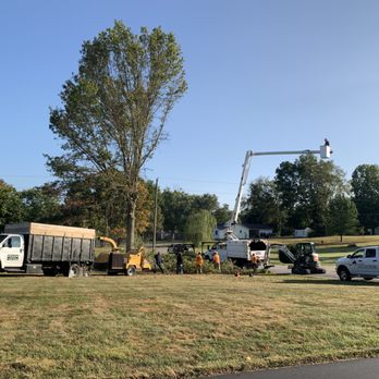 T & M Tree Services - Tree Services Near Me - Owensburg, Indiana T & M Tree Services - Tree Services Near Me - Owensburg, Indiana