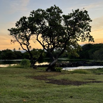 Whittington Beach Park - lake - Parks Near Me - Naalehu, Hawaii Whittington Beach Park - lake - Parks Near Me - Naalehu, Hawaii