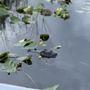 Photo of Everglades River of Grass Adventures