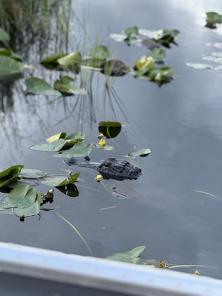 Everglades River of Grass Adventures