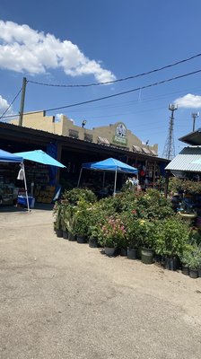 Azteca Farmers Market by null