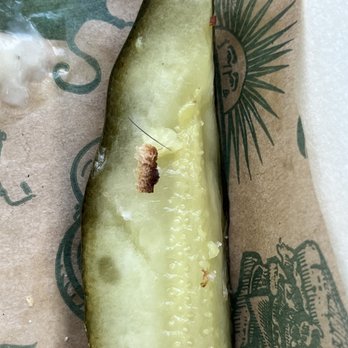 McAlister's Deli - A nice black hair on the pickle. - Delis Near Me - Peoria, Illinois McAlister's Deli - A nice black hair on the pickle. - Delis Near Me - Peoria, Illinois