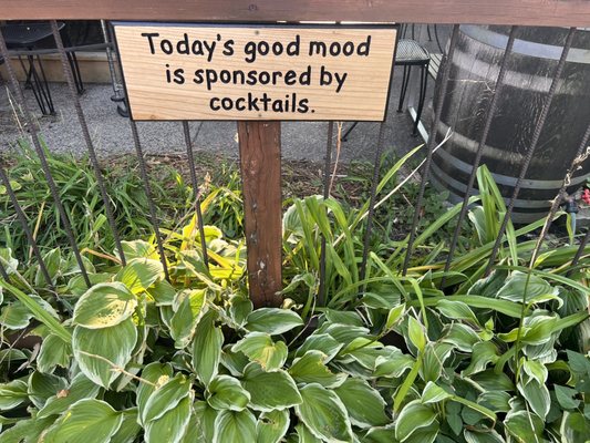 Washington Square Bar & Grill by null