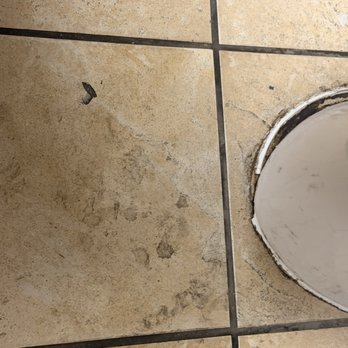TA Sweetwater - Women's restroom floor - Service Stations Near Me - Sweetwater, Texas TA Sweetwater - Women's restroom floor - Service Stations Near Me - Sweetwater, Texas