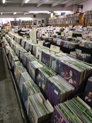 Jerry's Records by null
