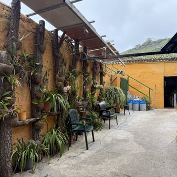 Guachinche El Cubano - Spanish Near Me - La Orotava, TF