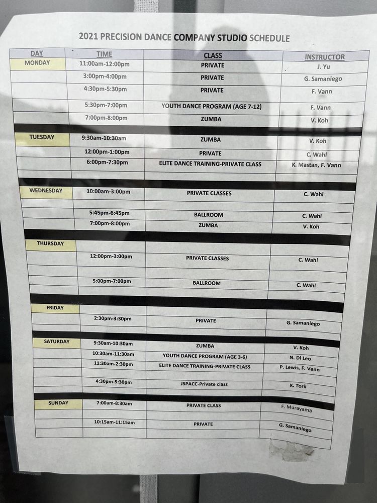 Precision Dance Company Logo