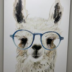 Rowe Justin, OD - Mccall Eye Care - Llama  pictures :)