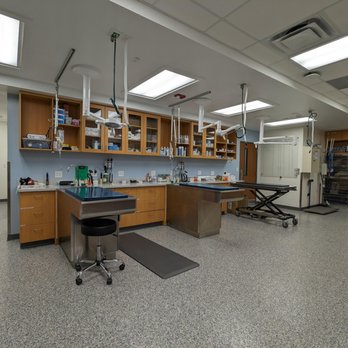 VCA Brickell Animal Hospital - Veterinarians Near Me - Miami, Florida VCA Brickell Animal Hospital - Veterinarians Near Me - Miami, Florida