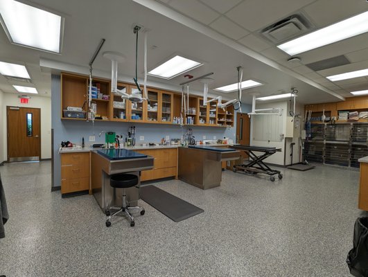 Vca Brickell Animal Hospital