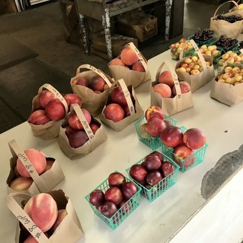 Grace's Oak Tree - More fruit - Food Stands Near Me - Philo, California
