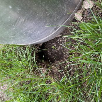 Eliminating 365 Pest Control - Rat burrow - Pest Control Near Me - Lowell, Massachusetts Eliminating 365 Pest Control - Rat burrow - Pest Control Near Me - Lowell, Massachusetts