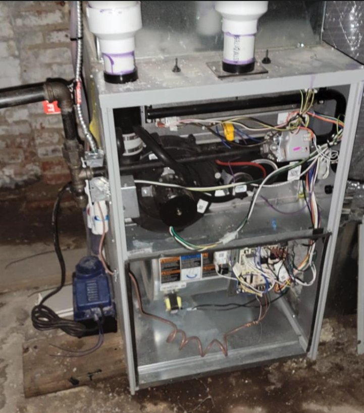 Slide of Jenalia Mechanical