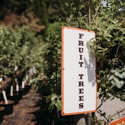 Down To Earth Gardens & Nursery