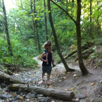 Boeing Creek Park - Lost in shoreline? - Parks Near Me - Shoreline, Washington