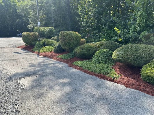 Mulch Mulch