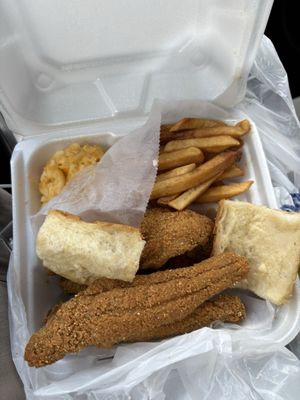 Williby's Catfish | Fresh Catfish Restaurant by null