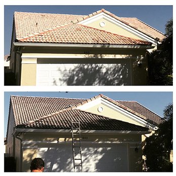 Blue Shark Pressure Cleaning - Roof Cleaning by Blue Shark Pressure Cleaning - Pressure Washers Near Me - Cape Coral, Florida Blue Shark Pressure Cleaning - Roof Cleaning by Blue Shark Pressure Cleaning - Pressure Washers Near Me - Cape Coral, Florida
