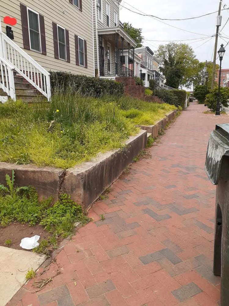 Slide of Mikes Maintenance and More