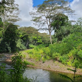 Kayak Adventures - Rafting/Kayaking Near Me - Kapaa, Hawaii