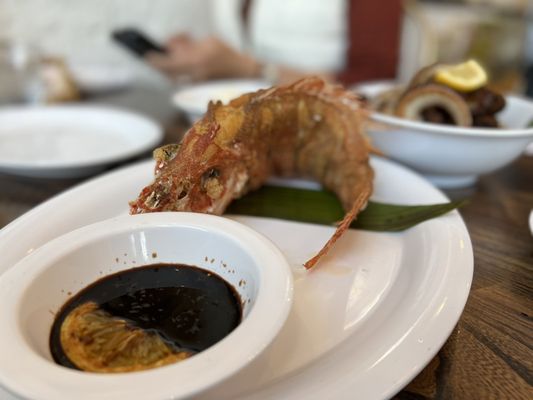 Estrellita by null Estrellita by null